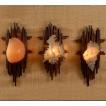 Shell Wall Sconce